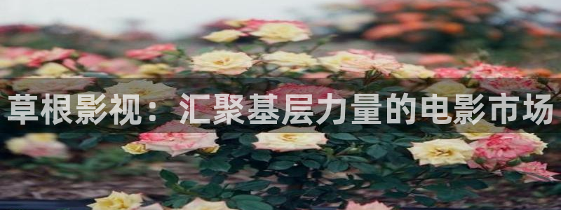 樱花动漫官网在线观看免费完整版