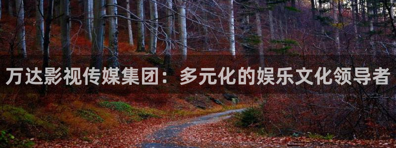 无颜之月樱花动漫在线观看免费版：万达影视传媒集团：多元化的娱乐文化领导者